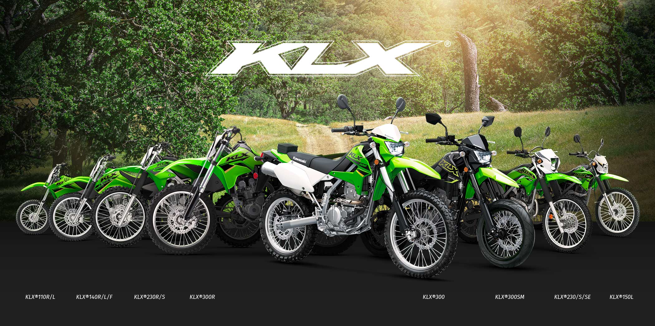 KLX FAMILY: KLX110R KLX140R KLX230R KLX300R KLX300SM KLX300 KLX250 KLX230